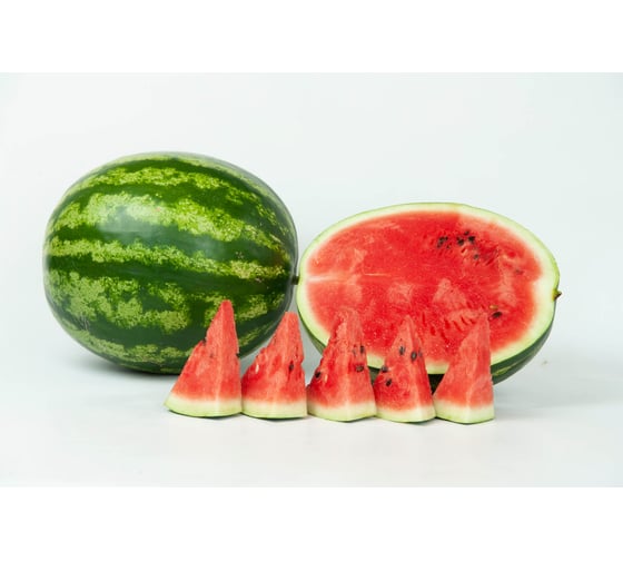 Страйк семена арбуза 20 шт ЭС мини ELITE PLANT-BREEDING & SEED PRODUCTION Co. 1026995359