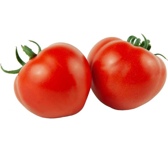 Рахат F1 семена томата 500 шт ЭС мини ELITE PLANT-BREEDING & SEED PRODUCTION Co. 1071860375