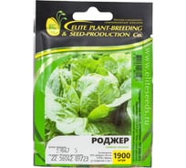 Роджер семена салата романо 1900 шт ЭС мини ELITE PLANT-BREEDING & SEED PRODUCTION Co. 1999947937