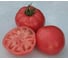 Ролекс F1 семена томата 20 шт ЭС мини ELITE PLANT-BREEDING & SEED PRODUCTION Co. 1999943400 3