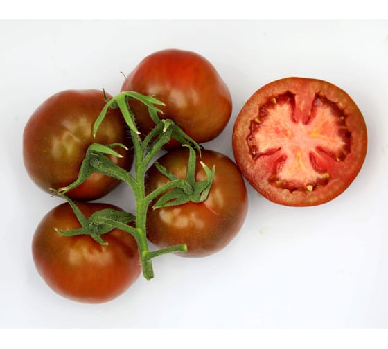 Наоми F1 семена томата 20 шт ЭС мини ELITE PLANT-BREEDING & SEED PRODUCTION Co. 1999947946