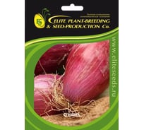 Стиляга семена лука шалот (на зелень) 50 г ЭС ELITE PLANT-BREEDING & SEED PRODUCTION Co. 1070008331
