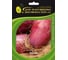 Стиляга семена лука шалот (на зелень) 50 г ЭС ELITE PLANT-BREEDING & SEED PRODUCTION Co. 1070008331 1