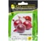 Прометей семена лука репчатого красного 20 г ЭС мини ELITE PLANT-BREEDING & SEED PRODUCTION Co. 1999945052 1