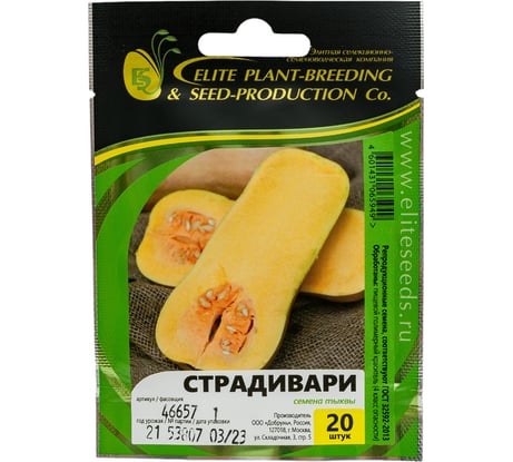 Страдивари семена тыквы 20 шт ЭС мини ELITE PLANT-BREEDING & SEED PRODUCTION Co. 1999943788
