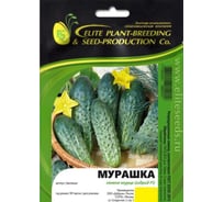 Мурашка F1 семена огурца 500 шт ЭС мини ELITE PLANT-BREEDING & SEED PRODUCTION Co. 1071860303