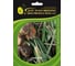Навигатор семена лука репчатого желтого 50 г ЭС ELITE PLANT-BREEDING & SEED PRODUCTION Co. 1026995689 1