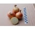 Навигатор семена лука репчатого желтого 50 г ЭС ELITE PLANT-BREEDING & SEED PRODUCTION Co. 1026995689 3