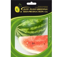 Рубикон F1 семена арбуза 100 шт ЭС мини ELITE PLANT-BREEDING & SEED PRODUCTION Co. 1071860378