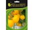 Фотон F1 семена томата 100 шт ЭС мини ELITE PLANT-BREEDING & SEED PRODUCTION Co. 1070009050 1