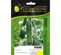 Раис F1 семена огурца 100 шт ЭС мини ELITE PLANT-BREEDING & SEED PRODUCTION Co. 1026993555