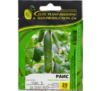 Раис F1 семена огурца 20 шт ЭС мини ELITE PLANT-BREEDING & SEED PRODUCTION Co. 1026993551