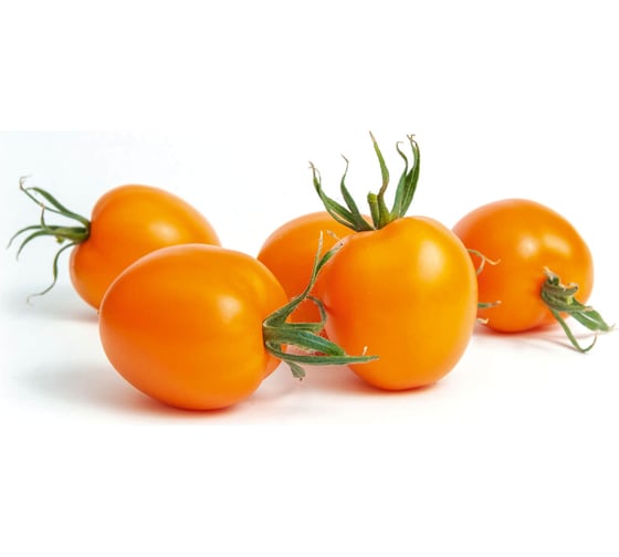 Фанто F1 семена томата 100 шт ЭС мини ELITE PLANT-BREEDING & SEED PRODUCTION Co. 1026996127