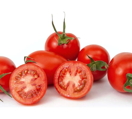 Универсал F1 семена томата 100 шт ЭС мини ELITE PLANT-BREEDING & SEED PRODUCTION Co. 10707844
