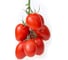 Универсал F1 семена томата 100 шт ЭС мини ELITE PLANT-BREEDING & SEED PRODUCTION Co. 10707844 2