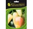 Фарон семена перца сладкого 10 г ЭС мини ELITE PLANT-BREEDING & SEED PRODUCTION Co. 1026995300 1
