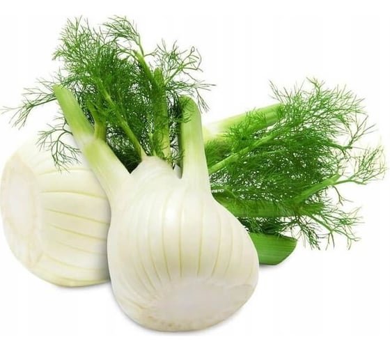 Феномен семена фенхеля 40 г ЭС ELITE PLANT-BREEDING & SEED PRODUCTION Co. 1026995190