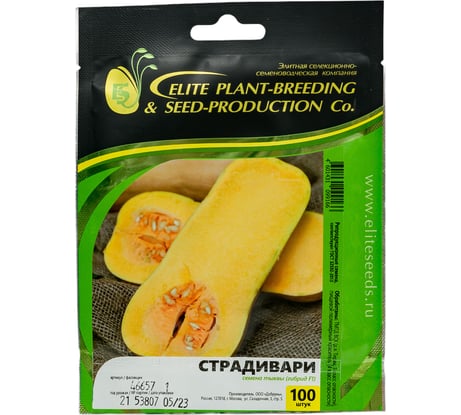 Страдивари семена тыквы 100 шт ЭС ELITE PLANT-BREEDING & SEED PRODUCTION Co. 1026995436