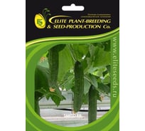 Танто F1 семена огурца 500 шт ЭС мини ELITE PLANT-BREEDING & SEED PRODUCTION Co. 1071860719