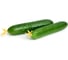Танто F1 семена огурца 500 шт ЭС мини ELITE PLANT-BREEDING & SEED PRODUCTION Co. 1071860719 3