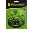 Филигрань семена айс салата зеленого 5 г ЭС мини ELITE PLANT-BREEDING & SEED PRODUCTION Co. 1070008353 1