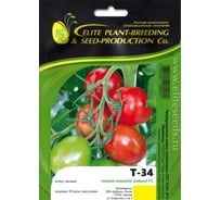 Т-34 F1 семена томата 100 шт ЭС мини ELITE PLANT-BREEDING & SEED PRODUCTION Co. 1026993577