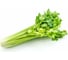 Фитнес семена сельдерея черешкового 10 г ЭС мини ELITE PLANT-BREEDING & SEED PRODUCTION Co. 1026995178 2