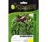 Хамелеон семена красного щавеля 50 г ЭС ELITE PLANT-BREEDING & SEED PRODUCTION Co. 1026995164 1
