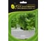 Фрезер семена айс салата зеленого 5 г ЭС мини ELITE PLANT-BREEDING & SEED PRODUCTION Co. 1070008350 1