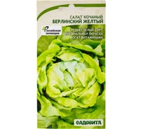 Семена Садовита Салат Берлинский желтый 0.5 г 00216441