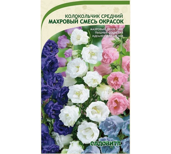 Семена Садовита Колокольчик Махровый смесь окрасок средний 0.1 г 00222514