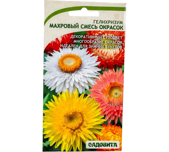 Семена Садовита Гелихризум Махровый смесь, 0.25 г 00208016 1