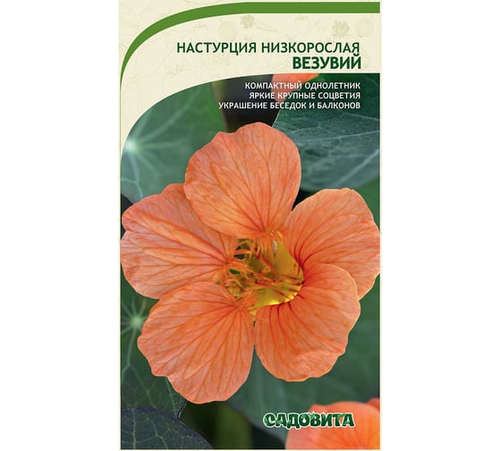 Семена Садовита Настурция Везувий низкорослая 1 г 00222576