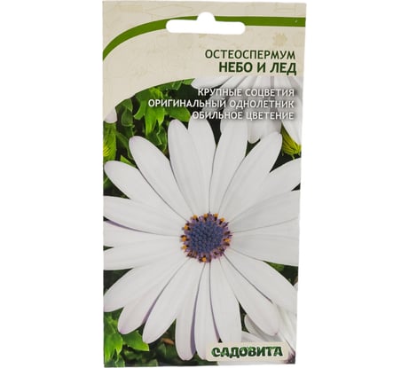 Семена Садовита Остеоспермум Небо и лед 0.1 г 00208020