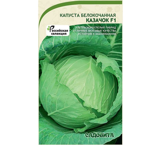 Семена Садовита Капуста белокочанная Казачок F1 0.1 г 00216400 1