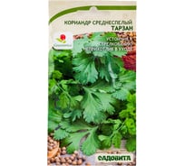 Семена Садовита Кориандр Тарзан 1 г Greenomica 00216428