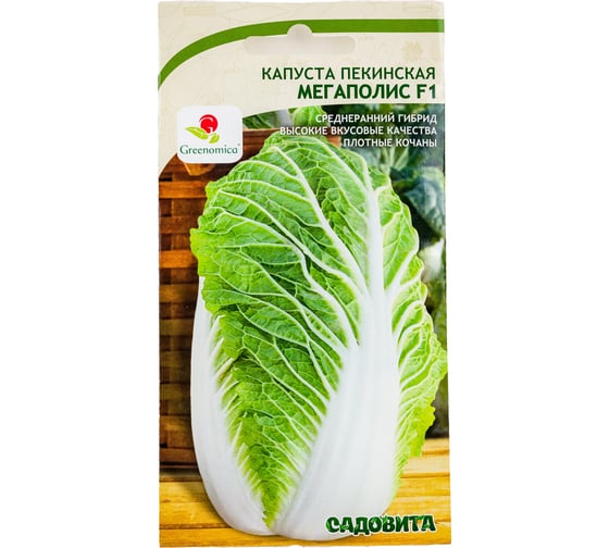 Семена Садовита Капуста пекинская Мегаполис F1 10 шт. Greenomica 00216417