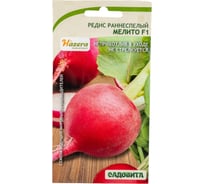 Семена Садовита Редис Мелито F1 1 г Hazera 00216557