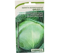 Семена Садовита Капуста белокочанная Циклоп F1 10 шт. Sakata 00216403