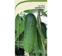 Семена Садовита Огурец Шопен F1 5 шт. Rijk Zwaan 00216541
