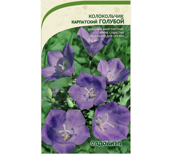 Семена Садовита Колокольчик Голубой карпатский 0.1 г 00222513