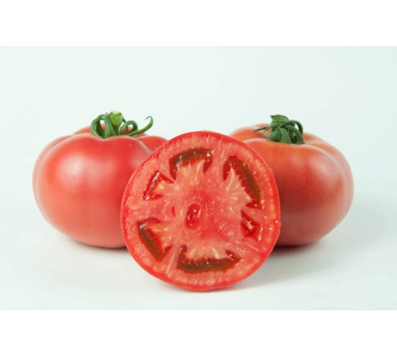 Шибик F1 семена томата 500 шт ЭС мини ELITE PLANT-BREEDING & SEED PRODUCTION Co. 1071860385