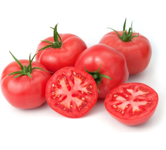 Юна F1 семена томата 100 шт ЭС мини ELITE PLANT-BREEDING & SEED PRODUCTION Co. 1026993668