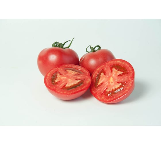 Шидс F1 семена томата 100 шт ЭС мини ELITE PLANT-BREEDING & SEED PRODUCTION Co. 1026993672