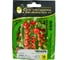 Чезаре F1 семена томата 10 шт ЭС мини ELITE PLANT-BREEDING & SEED PRODUCTION Co. 1026995228 3