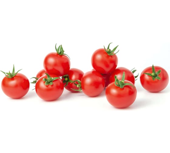 Чезаре F1 семена томата 100 шт ЭС мини ELITE PLANT-BREEDING & SEED PRODUCTION Co. 1026993670
