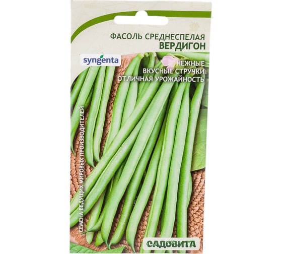 Семена Садовита Фасоль Вердигон 10 шт. Syngenta 00216576 1
