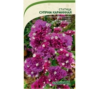 Семена Садовита Статица Суприм карминная 0.15 г 00222639