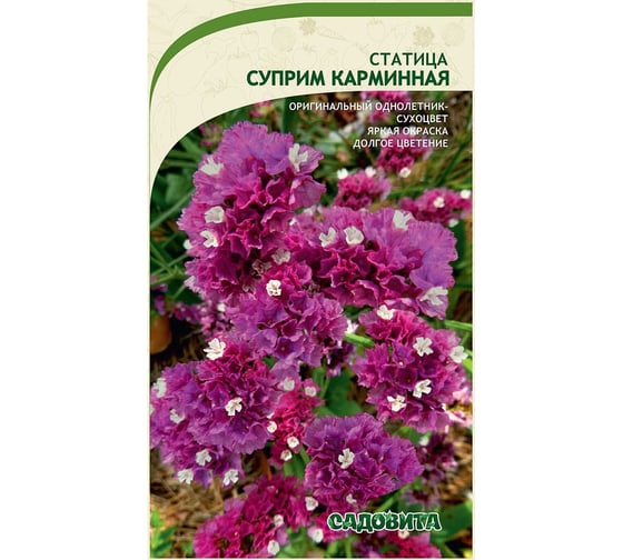 Семена Садовита Статица Суприм карминная 0.15 г 00222639 1