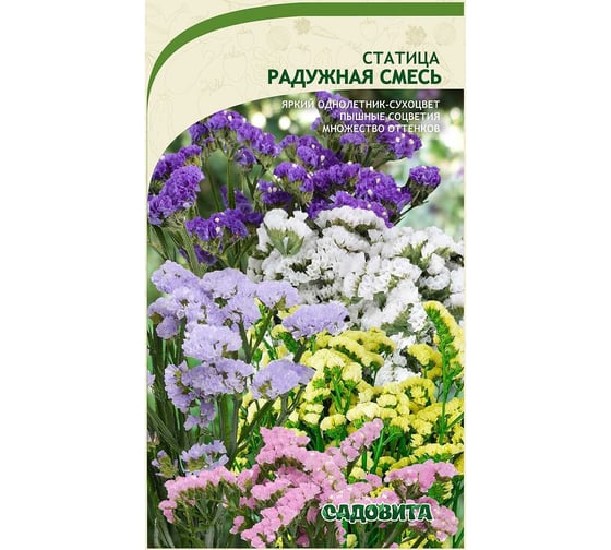 Семена Садовита Статица Радужная смесь 0.1 г 00208022 1